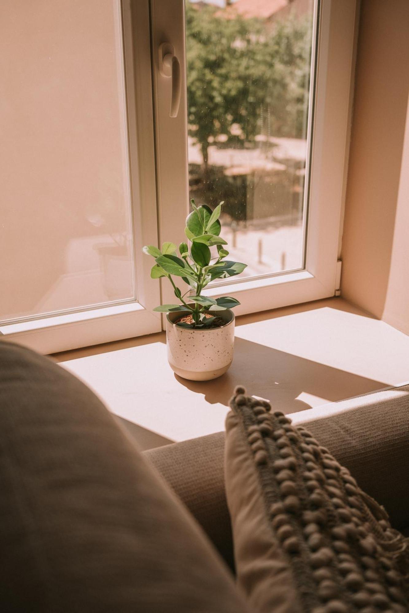 Апартаменти Quietude-Loft Neuf-Clim & Parking Рокфор-ла-Бедуль Екстер'єр фото